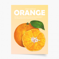 Plagát, Fruits - Orange, 20x30 cm