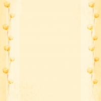 pozadie fotoknihy